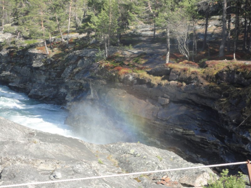 DSC05458 [800x600].jpg