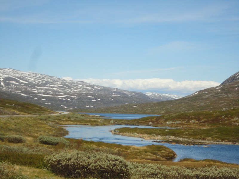 DSC05460 [800x600].jpg