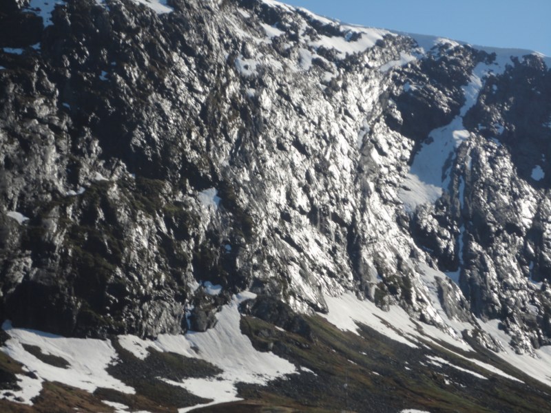 DSC05466 [800x600].jpg