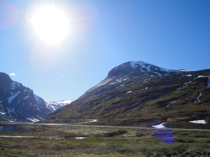 DSC05470 [800x600].jpg