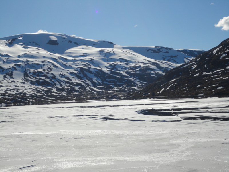 DSC05476 [800x600].jpg