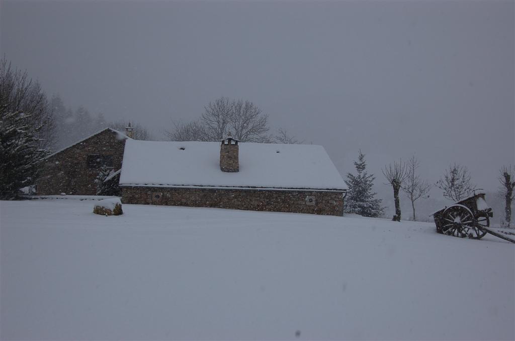 Decembre 028 (14) (Large).jpg