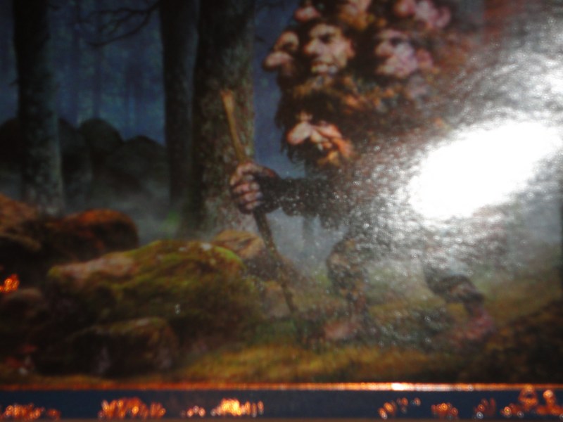 DSC05516 [800x600].jpg