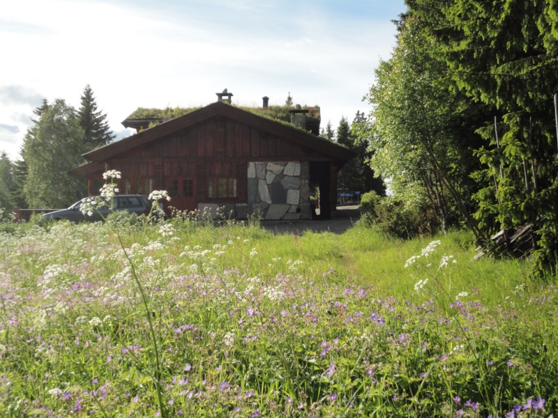 DSC05563 [800x600].jpg