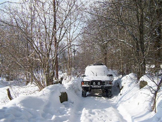 100_5938 (Small).JPG