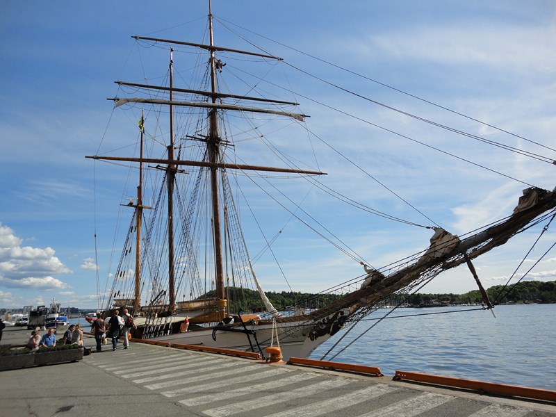 DSC05698 (Copier).JPG