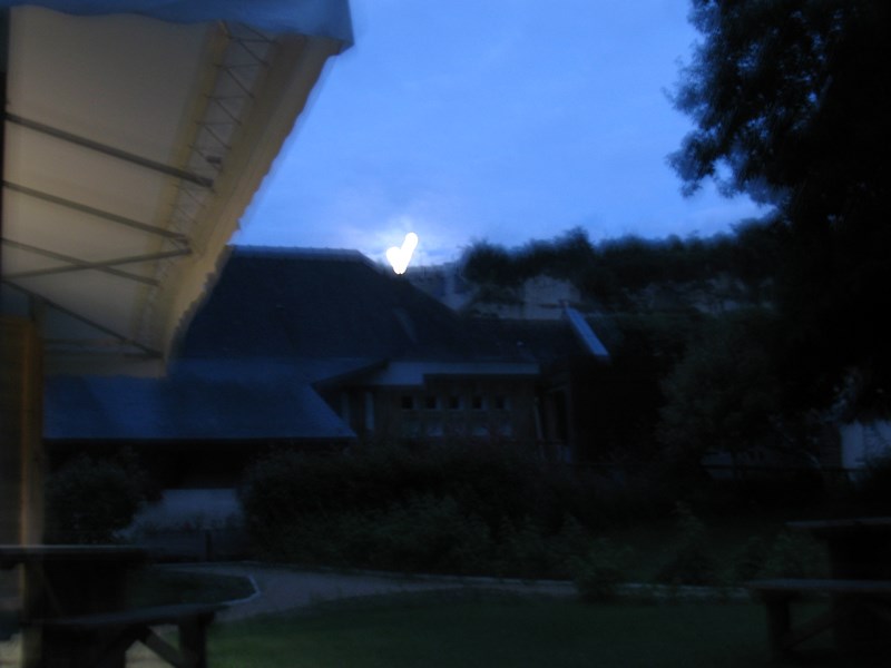 IMG_0548 (Copier).JPG