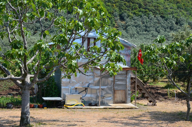 DSC_0519 (Copier).JPG