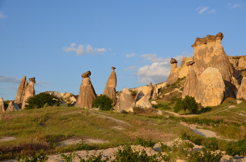 DSC_0622 (Copier).JPG