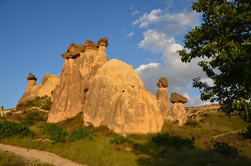 DSC_0626 (Copier).JPG