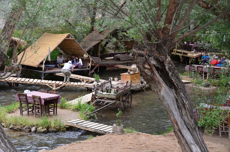 DSC_0891 (Copier).JPG