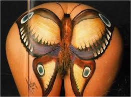 Papillon....JPG