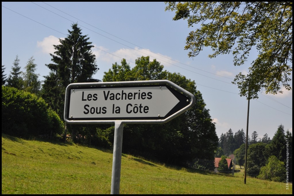 DSC_0038 [1024x768].JPG