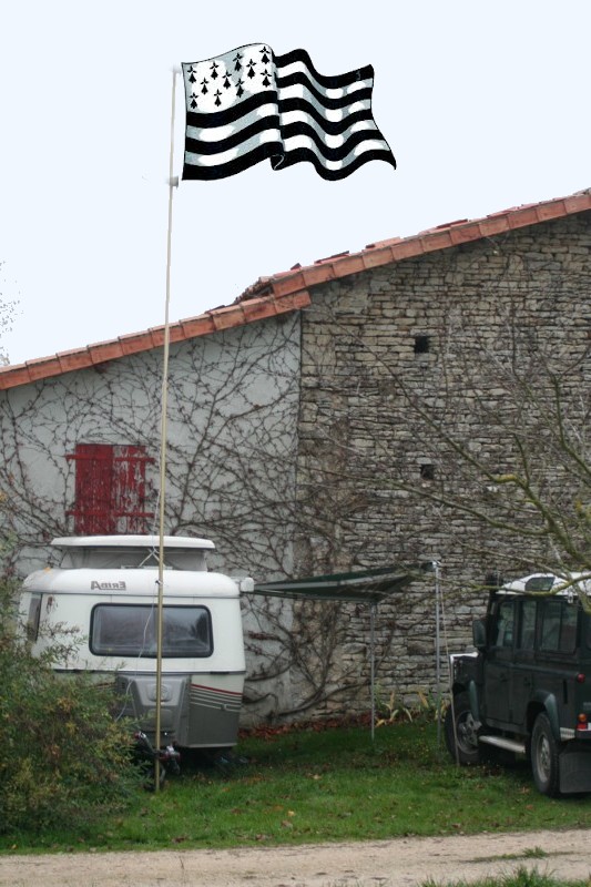 bretfin.jpg