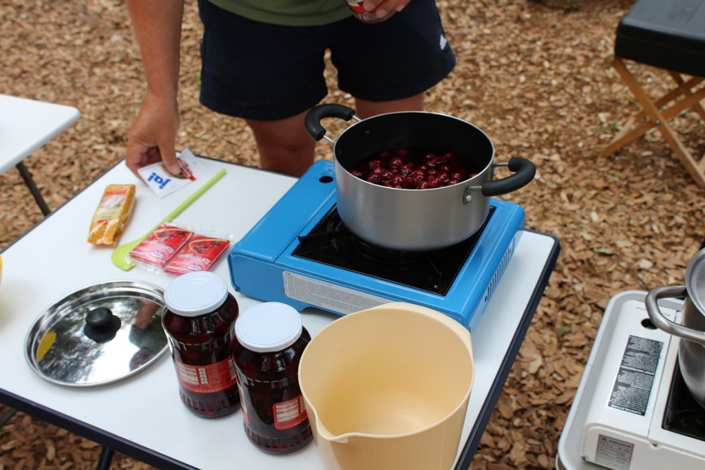 eribafestalbanya2013 289 (Copier).JPG