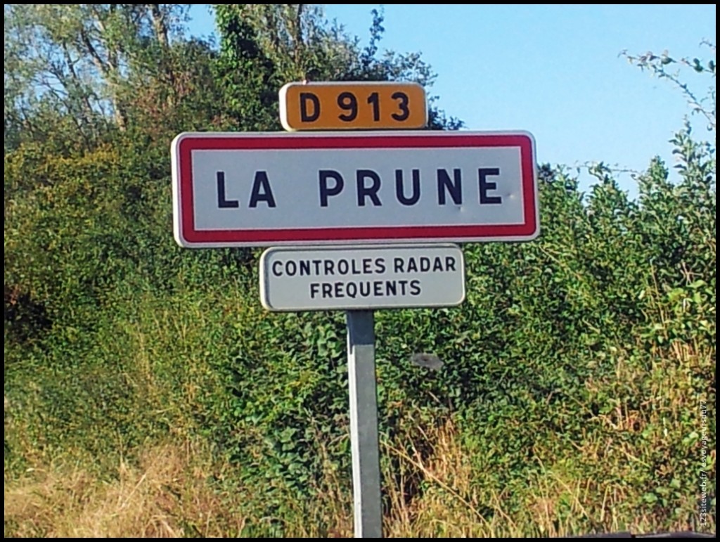 2013-08-15 [1024x768].jpg