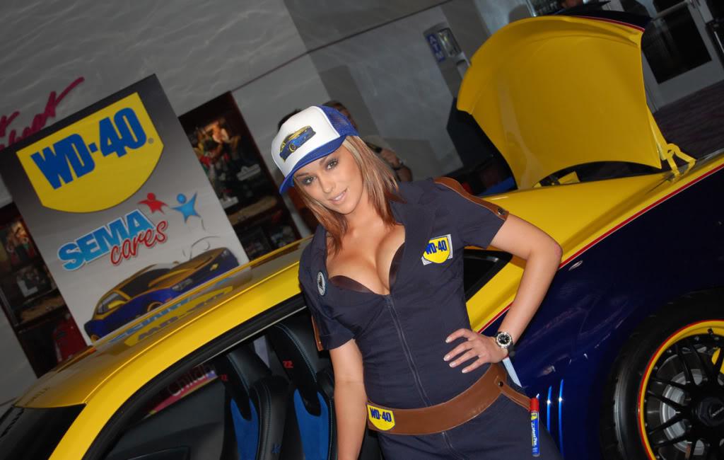 WD40-Model-1 (Large).jpg