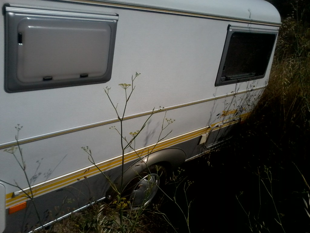 photo du fossé planqué sous des herbes