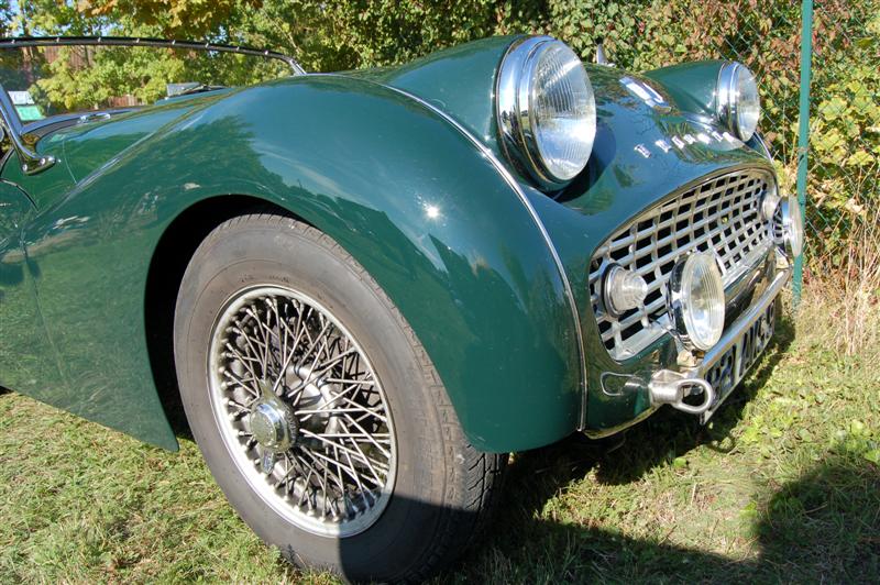 DSC_7428 (Medium).JPG