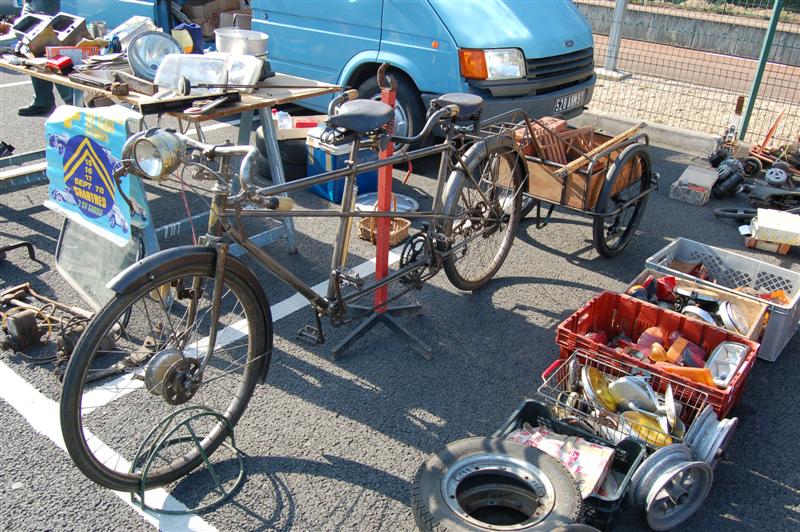 DSC_7465 (Medium).JPG