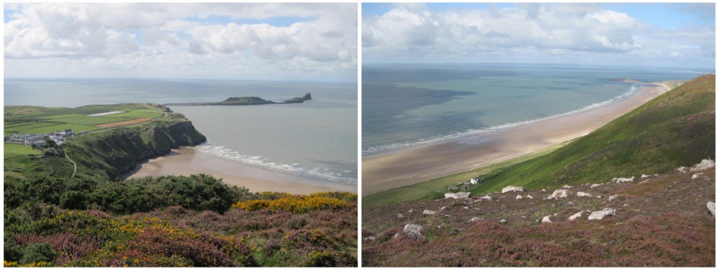 Gower-1.jpg