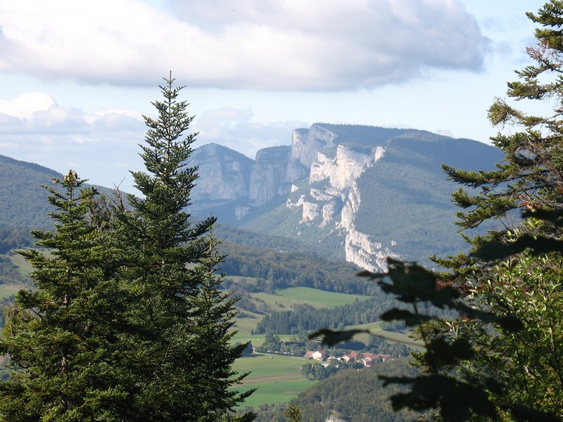 IMG_2263 (Copier).JPG