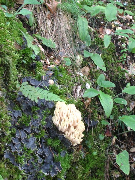 IMG_2282 (Copier).JPG