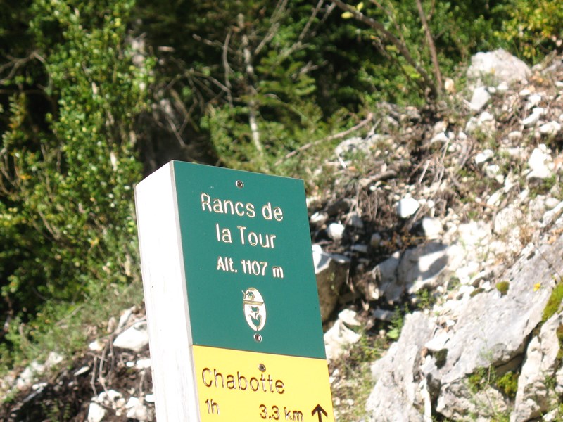 IMG_2261 (Copier).JPG