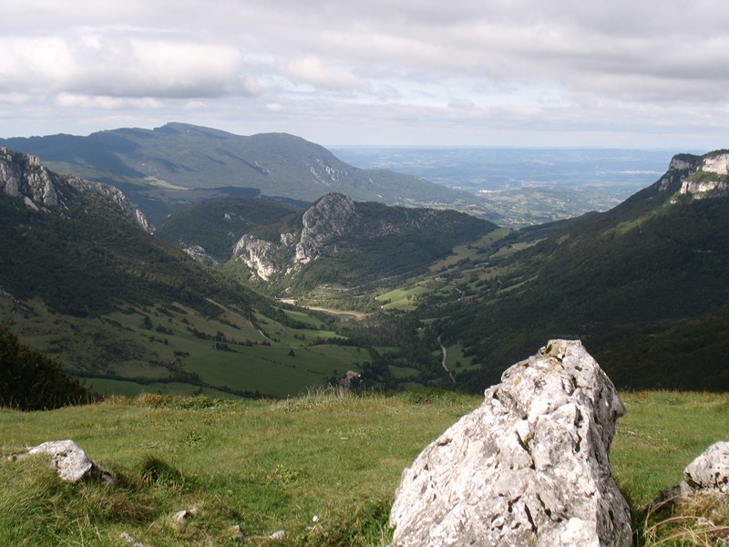 IMG_2202 (Copier).JPG