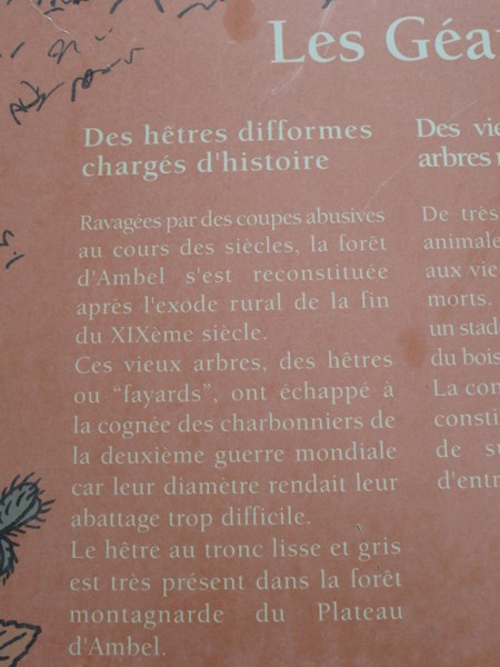 IMG_2220 (Copier).JPG