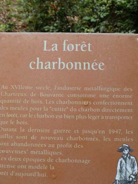 IMG_2223 (Copier).JPG