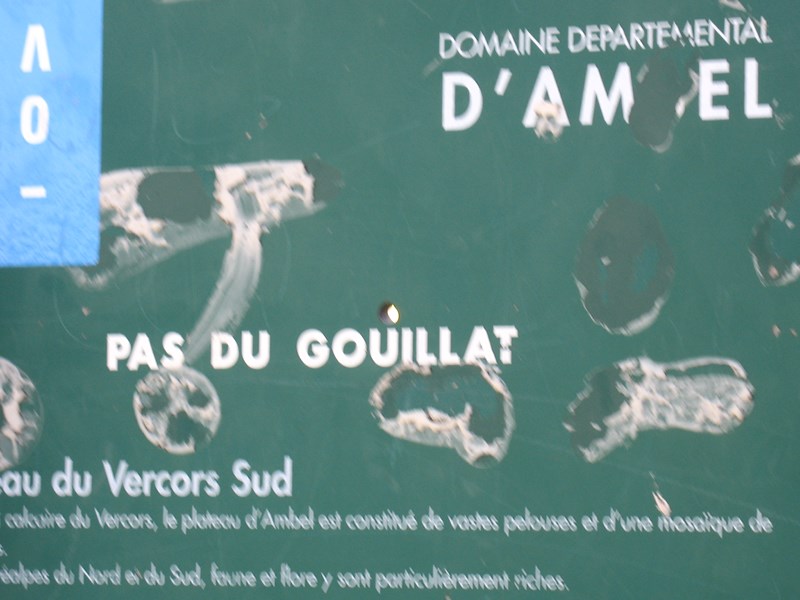 IMG_2235 (Copier).JPG