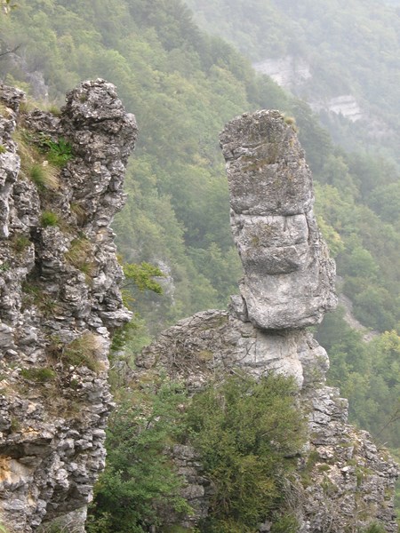 IMG_2078 (Copier).JPG