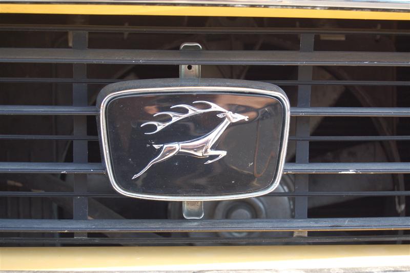 DSC_7473 (Medium).JPG