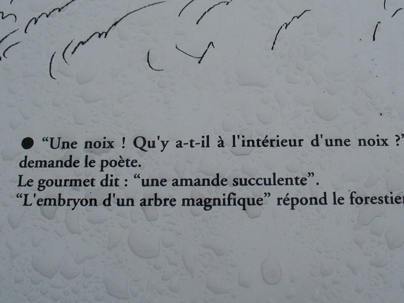 IMG_2115 (Copier).JPG