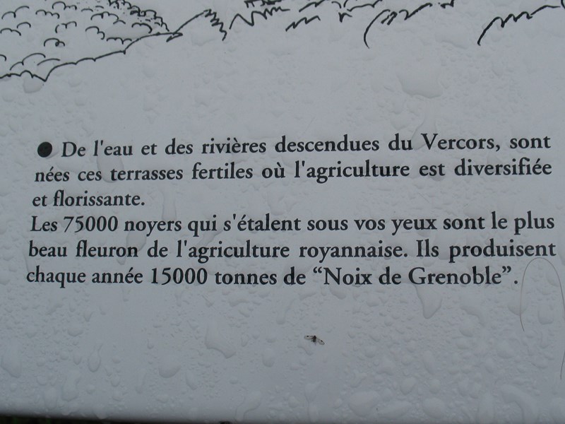 IMG_2116 (Copier).JPG