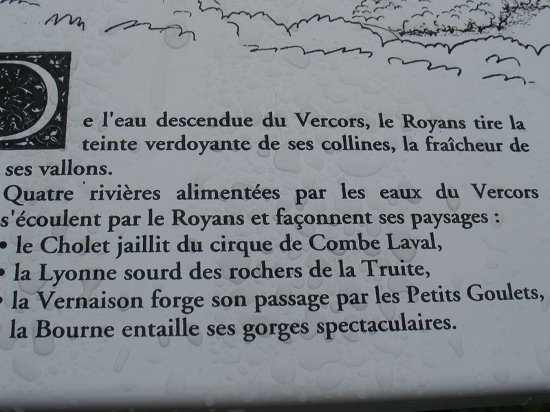 IMG_2117 (Copier).JPG