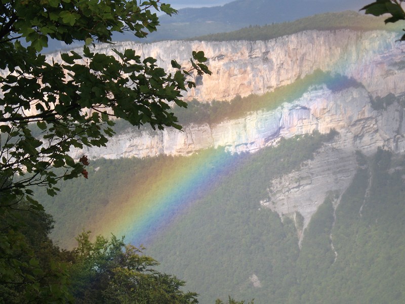 IMG_2174 (Copier).JPG