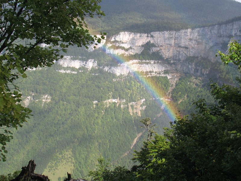 IMG_2180 (Copier).JPG