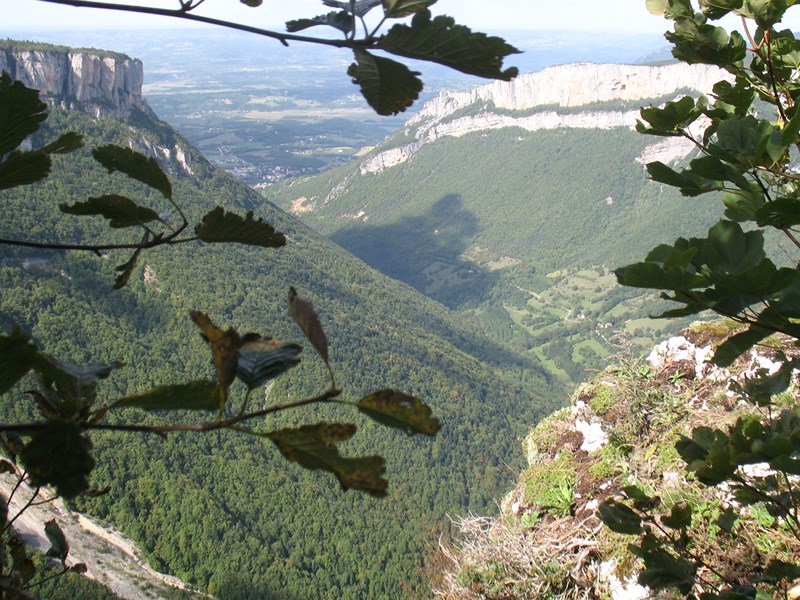 IMG_1982 (Copier).JPG