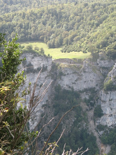 IMG_1985 (Copier).JPG