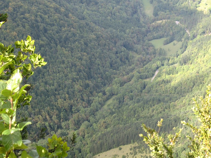 IMG_1993 (Copier).JPG