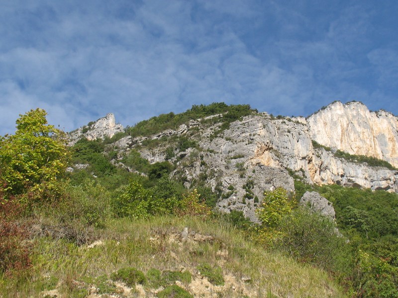 IMG_2029 (Copier).JPG