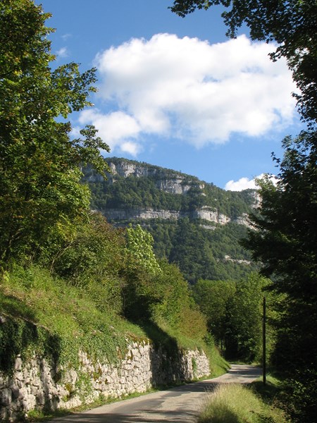 IMG_2035 (Copier).JPG