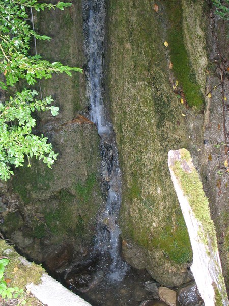 IMG_2039 (Copier).JPG