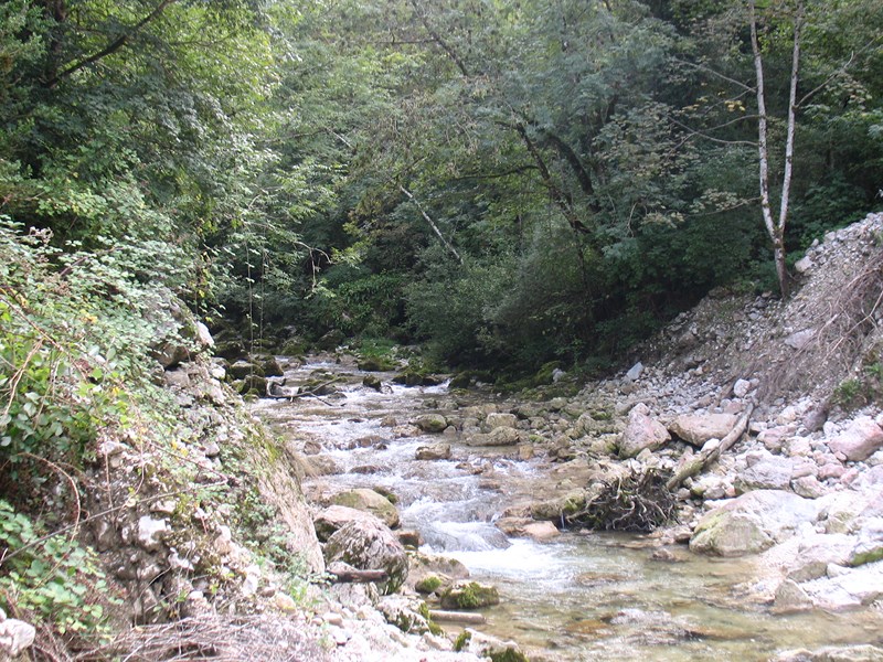 IMG_2052 (Copier).JPG