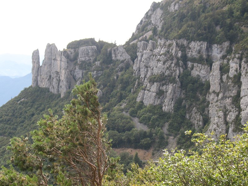 IMG_1889 (Copier).JPG