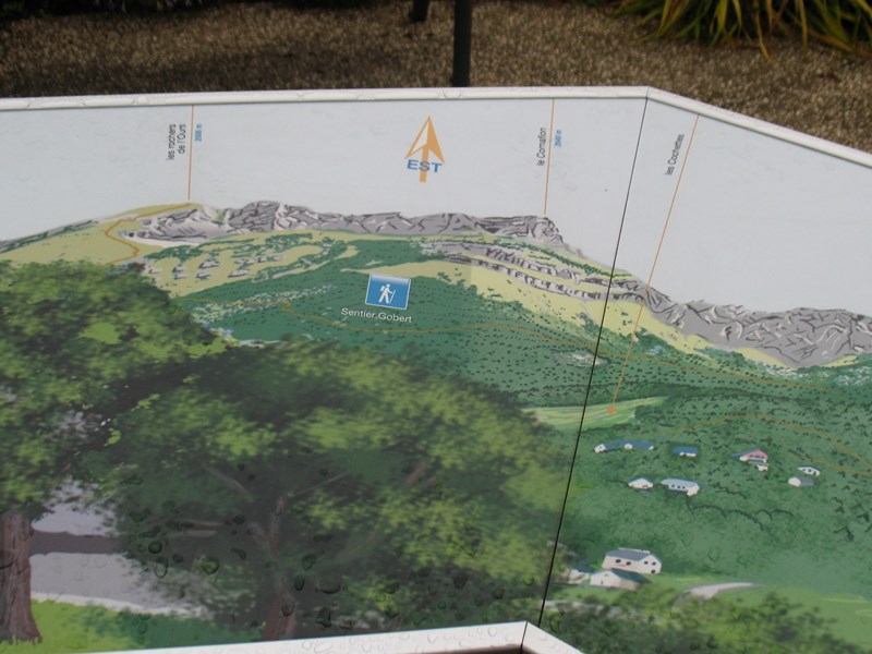 IMG_1850 (Copier).JPG