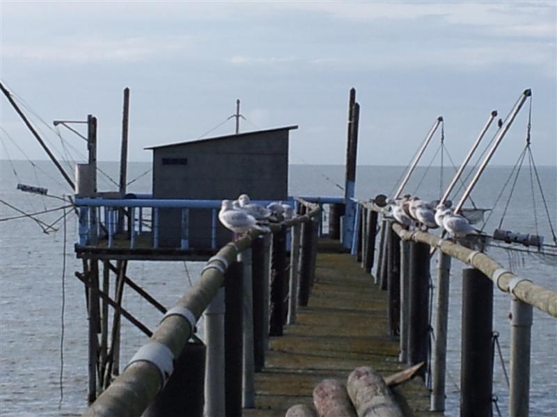 20131004_164444 (Medium).jpg