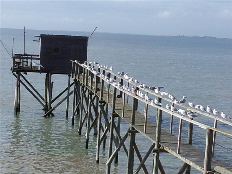 20131004_164634 (Medium).jpg